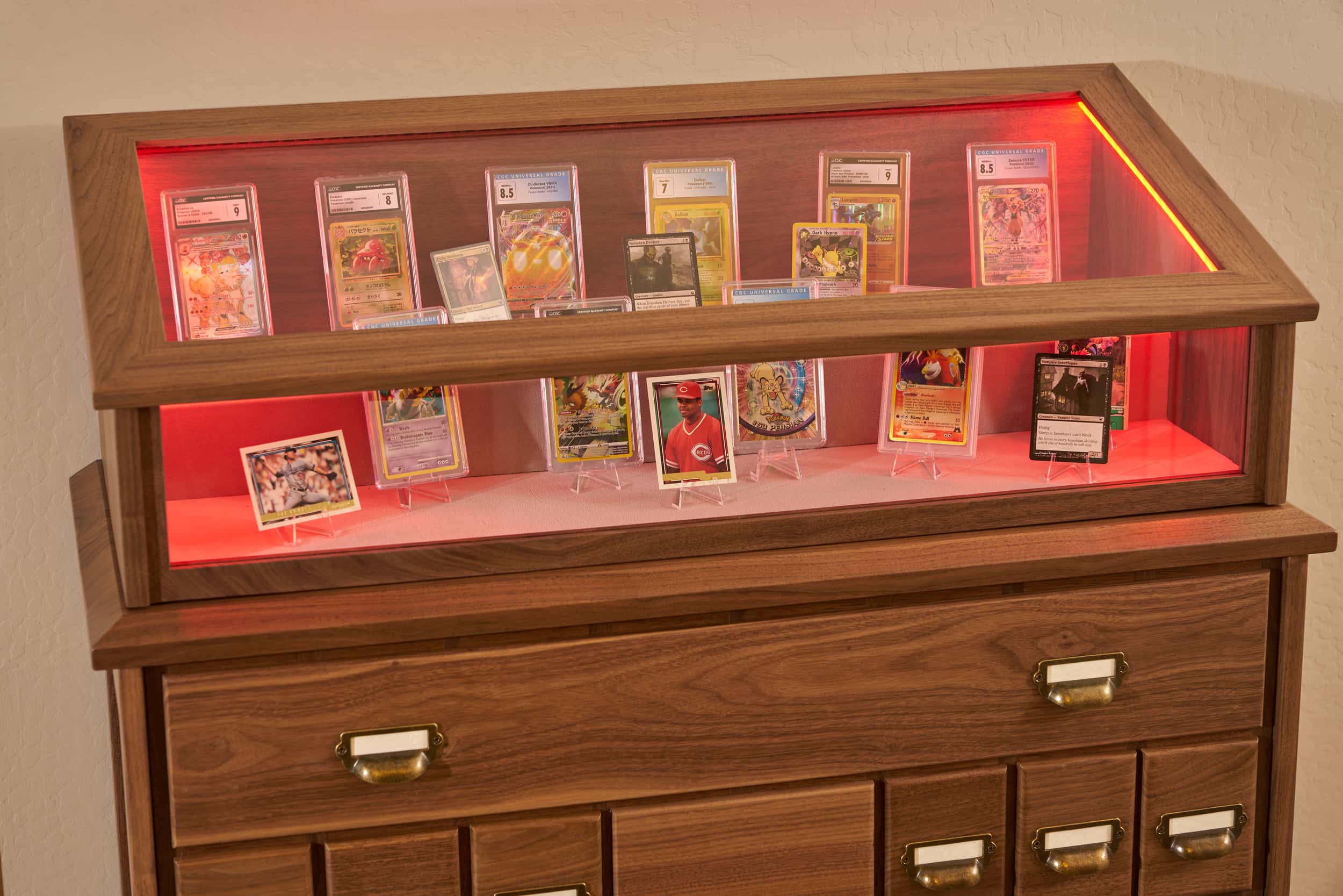 Trading Card & Collectible Display Case