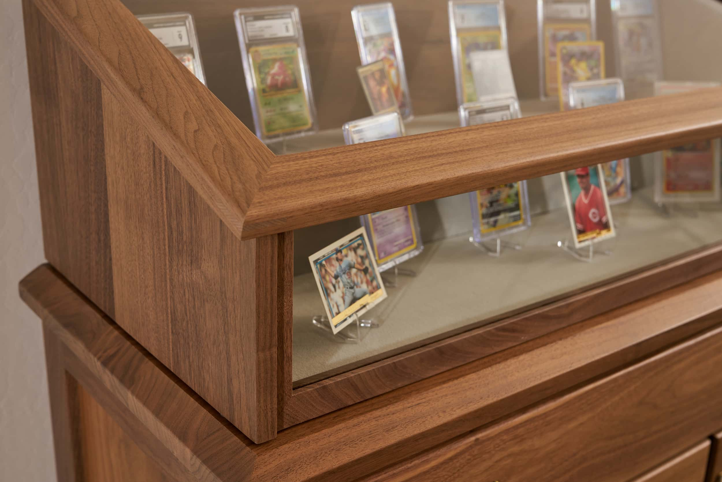 Trading Card & Collectible Display Case