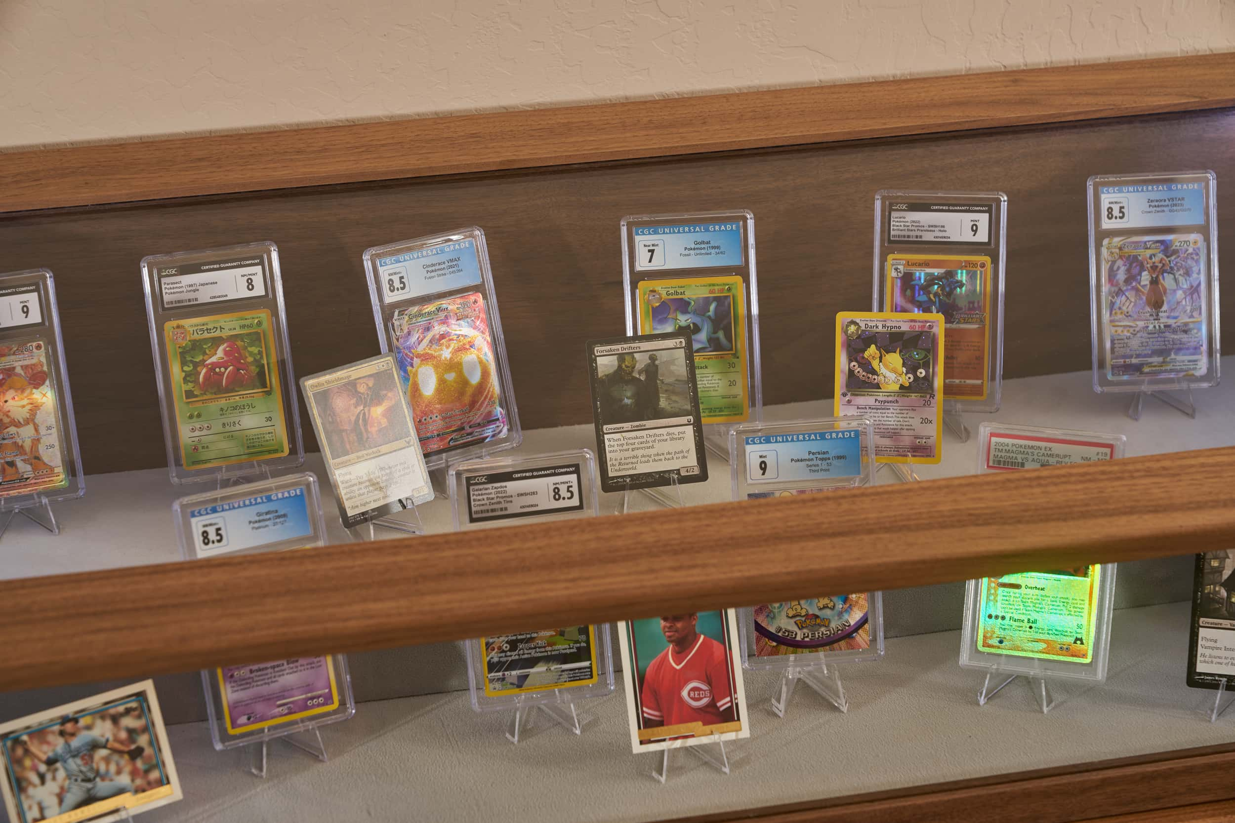 Trading Card & Collectible Display Case