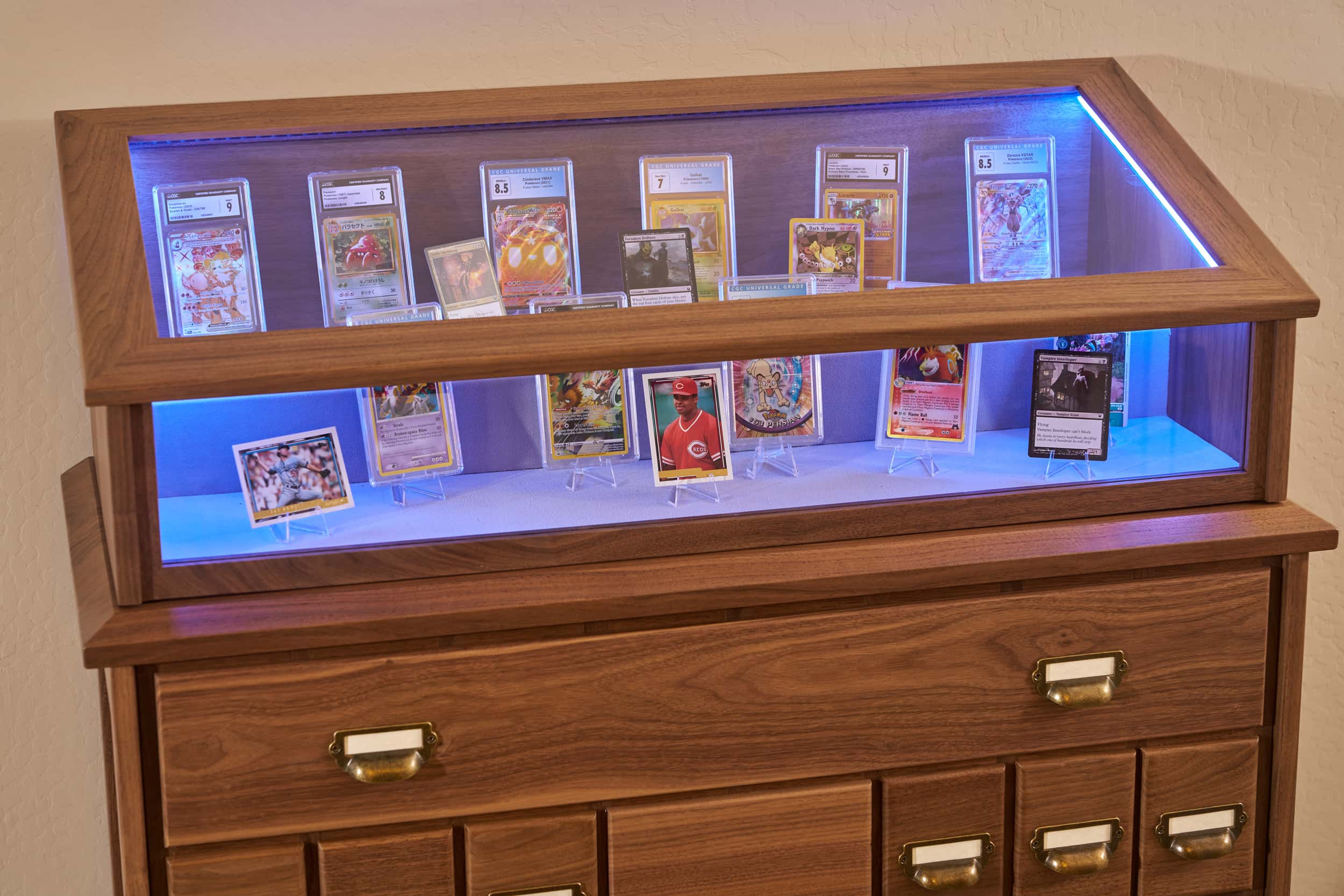 Trading Card & Collectible Display Case